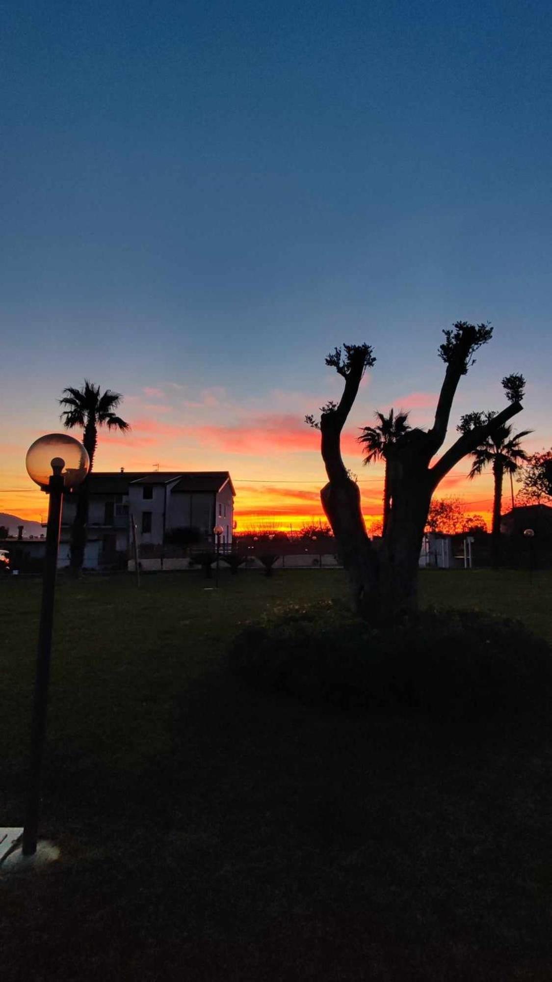 Le Colline Di Paestum Bed & Breakfast Capaccio Eksteriør bilde